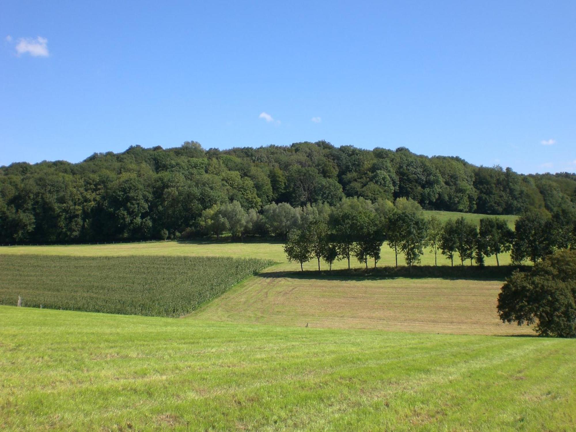 Stunning Holiday Home Near Forest In Slenaken Luaran gambar